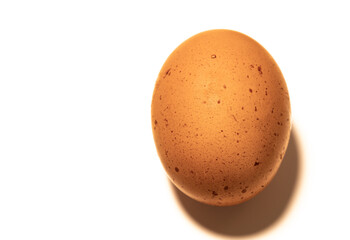 Organic brown chicken egg on white background