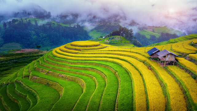 Beautiful Rice terraces at Mam xoi viewpoint in Mu cang chai, Vietnam.