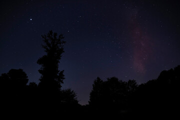 Fototapeta premium Calm night filled with stars