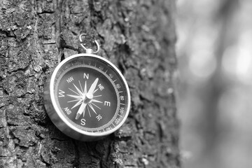 round compass on natural background