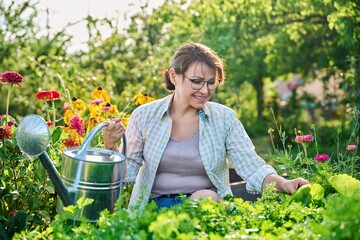 Woman with watering can in vegetable garden in summer season
