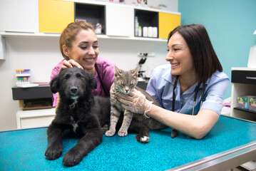 Two female veterinarians examining cat and dog in veterinary clinic