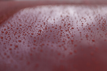 Wet red car with hydrophobic coating