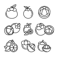 mangosteen fruit icon set illustration