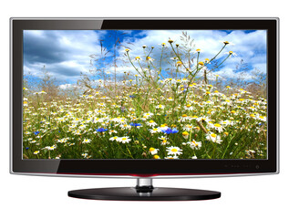 TV monitor, flat screen lcd, with wild flowers on screen isolated. 3d icon illustration.