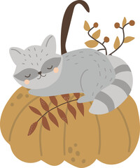 Baby raccoon sleeps on a pumpkin, autumn composition, vector illustration for design, print, pattern, isolated on white background