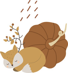 A cute fox sleeps near an autumn pumpkin, vector illustration for design, print, pattern, isolated on white background