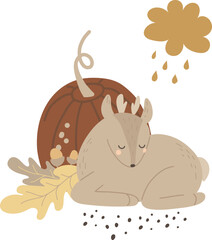 A baby deer sleeps near a pumpkin, an autumn composition, vector illustration for design, print, pattern, isolated on white background