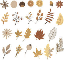 Autumn forest leaves clipart, floral, vector illustration for design, print, pattern, isolated on white background