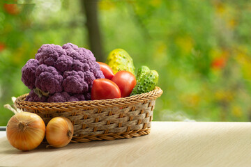Fresh ripe purple cauliflower, onion, red tomatoes and green cucumber in basket. Healthy food on table on defocus autumn background.