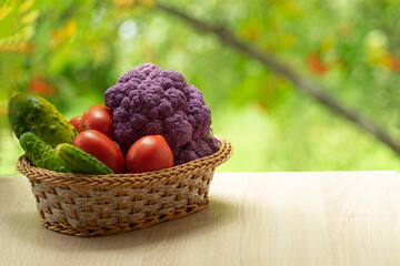 Fresh ripe purple cauliflower, red tomatoes and green cucumber in basket. Healthy food on table on defocus autumn background.