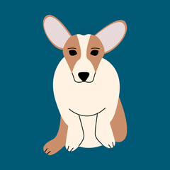 friendly funny corgi dog