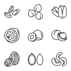 Nuts and Seeds icon set. Pictogram isolated on a white background.