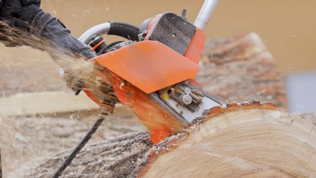 Woodcutter saws tree with electric chain saw on sawmill. Chainsaw used in activities such as tree felling, pruning, cutting firebreaks in wildland fire suppression, and harvesting of firewood.