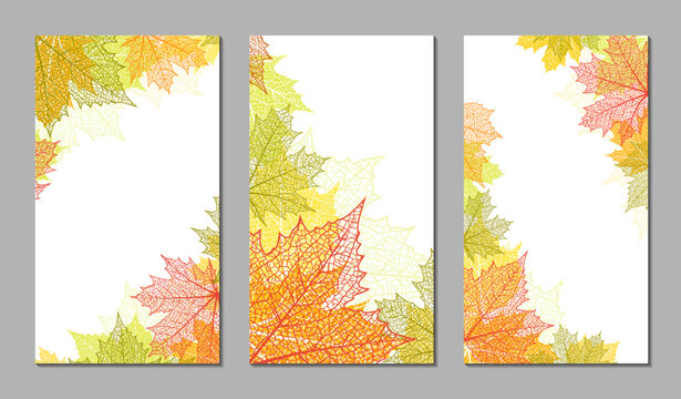 Set of abstract backgrounds. Botanical art. Floral vector templates with autumn leaves. Plant print for holiday stories, greeting cards, banners. Natural trendy web-design