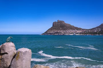Foto auf Leinwand Landmark Bronze Leopard looking over Hout Bay, Cape Town © Mike