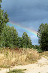 multicolored rainbow in the sky after rain forest rural road ears vertical orientation