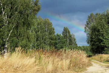 multicolored rainbow in the sky after rain forest rural road ears horizontal orientation