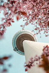Fernmeldeturm Mannheim
