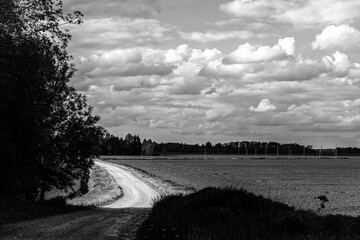 country dirt road through agricultural field