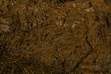 close up of a surface plaster