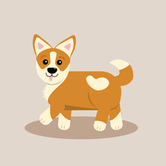 Dog corgi