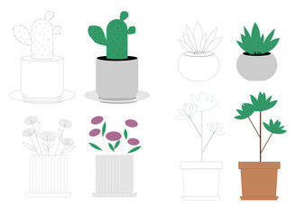 indoor plants with simple lines in color, vector graphics: cactus, succulents, simple flowers, dracaena 