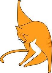 orange cat gesture pet animal cartoon clipart