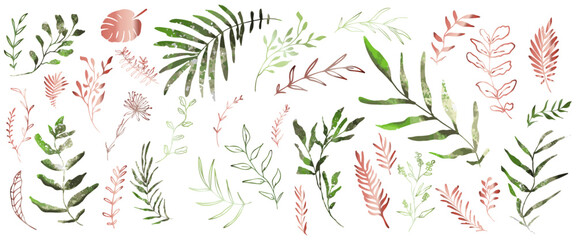 Hand drawn colorful plant set - universally usable. Botanical, chic and trendy plants. Hand drawn lines, elegant leaves for your own design. Flower branch and minimalistic modern plants.