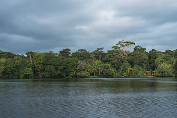 amazonas