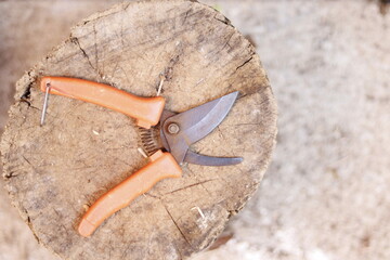 pruning shears