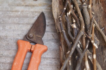 pruning shears