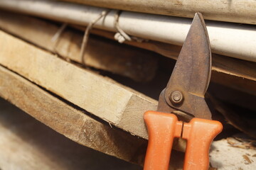 pruning a tree branch