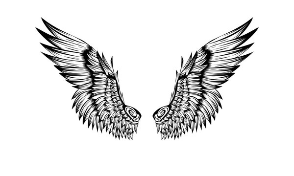 Vector angel wing tattoo design