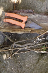 Obraz premium pruning a tree branch