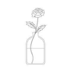 Rose in a vase vector line drawing