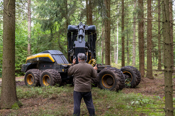 The harvester working in a forest. Closeup with shallow DOF. . High quality photo