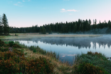 Fototapeta na wymiar morning in the forest with fog and lake