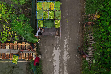 Floating guava market of Bangladesh is located in Jhalakathi and swarupkathi in the southern part of Barisal district. The most popular of these are Bhimaruli, Atghar, Kuriana Market. 