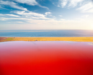 Fototapeta premium Fantastic drone view of a pink salt marsh on a beautiful sunny day. Syvash Lake, Ukraine, Europe.