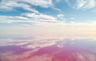 The sky is reflected in the water of a pink salt lake on a beautiful sunny day. Syvash Lake, Kherson Region, Ukraine.