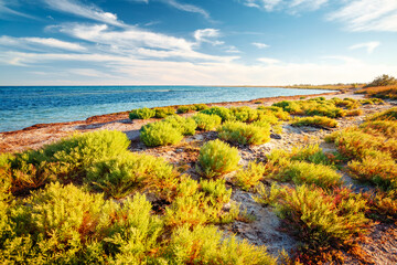 A picturesque beach with sand and grass on a beautiful summer day. Black Sea, Ukraine, Europe.