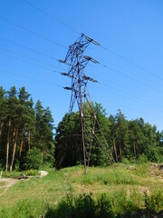 Obraz premium power lines in the forest