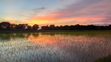 Naklejka premium sunrise over the river, a golden background image 