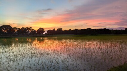 sunrise over the river, a golden background image 