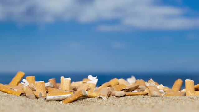 Cigarette stubs on a sandy beach