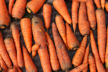 collection of carrots. carrot texture background. Vegetarian food rich in vitamins