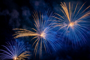 Feu d'artifice &agrave; Bastia  2022