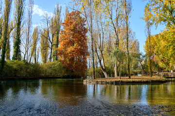 autumn in the lake inside the park called fonti del clitunno in umbria, italy