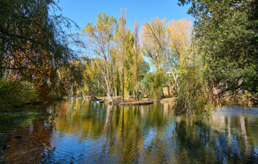 Fototapeta na wymiar autumn in the lake inside the park called fonti del clitunno in umbria, italy